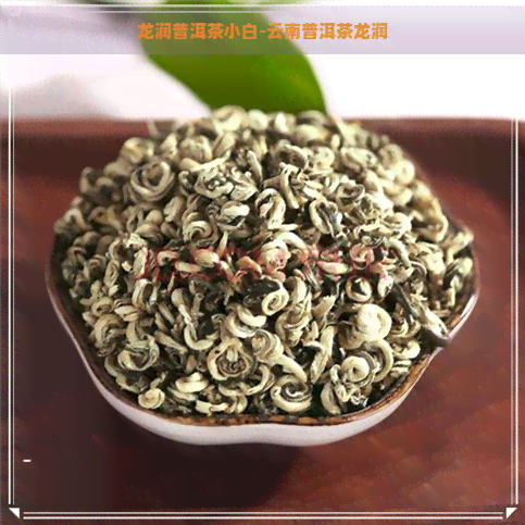 龙润普洱茶小白-云南普洱茶龙润