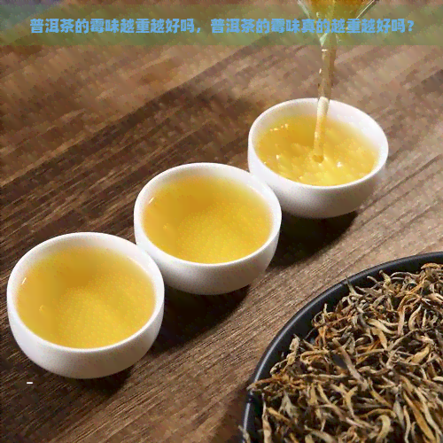 普洱茶的霉味越重越好吗，普洱茶的霉味真的越重越好吗？