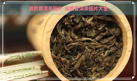 曼熙普洱茶图片-曼熙普洱茶图片大全