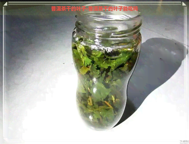 普洱茶干的叶子-普洱茶干的叶子能吃吗