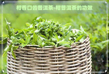 柑香口齿普洱茶-柑普洱茶的功效