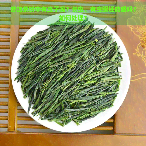 普洱茶饼中有虫子吗？长虫、有虫眼还能喝吗？如何处理？