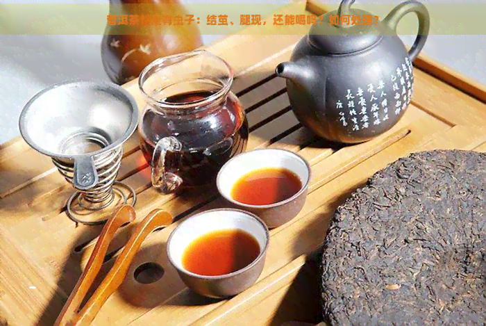 普洱茶饼里有虫子：结茧、腿现，还能喝吗？如何处理？