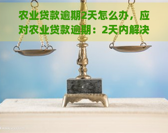 农业贷款逾期2天怎么办，应对农业贷款逾期：2天内解决方案