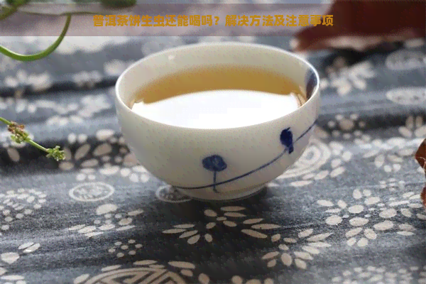 普洱茶饼生虫还能喝吗？解决方法及注意事项