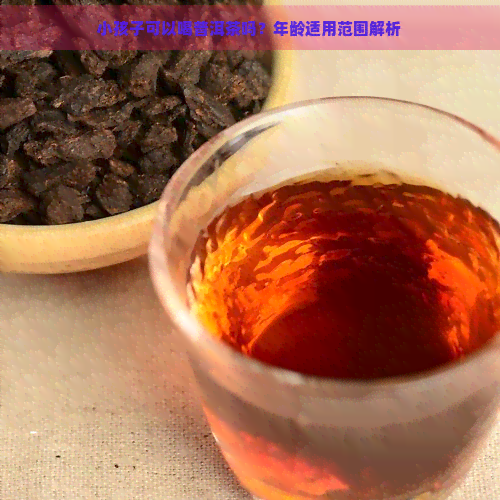 小孩子可以喝普洱茶吗？年龄适用范围解析