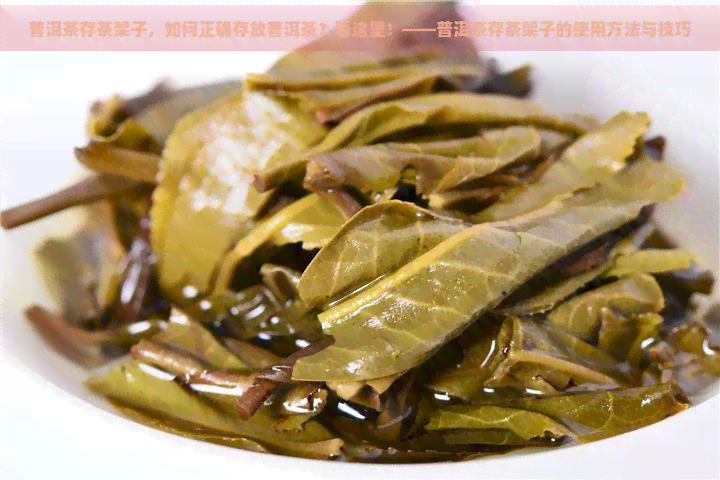 普洱茶存茶架子，如何正确存放普洱茶？看这里！——普洱茶存茶架子的使用方法与技巧