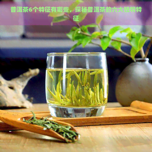 普洱茶6个特征有哪些，探秘普洱茶的六大独特特征