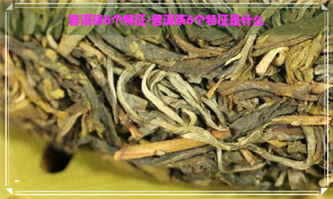 普洱茶6个特征-普洱茶6个特征是什么