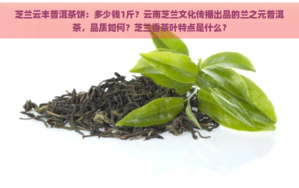 芝兰云丰普洱茶饼：多少钱1斤？云南芝兰文化传播出品的兰之元普洱茶，品质如何？芝兰香茶叶特点是什么？