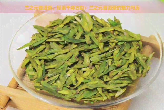 兰之元普洱茶，探索千年古韵：兰之元普洱茶的魅力与历