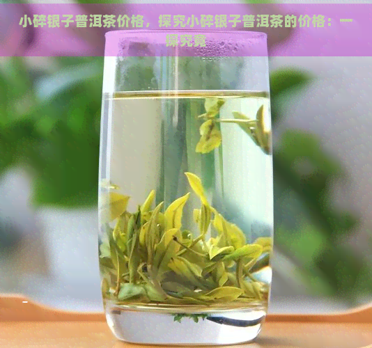 小碎银子普洱茶价格，探究小碎银子普洱茶的价格：一探究竟