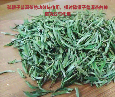 碎银子普洱茶的功效与作用，探讨碎银子普洱茶的神奇功效与作用