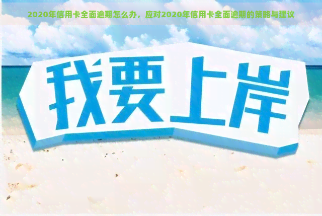 2020年信用卡全面逾期怎么办，应对2020年信用卡全面逾期的策略与建议