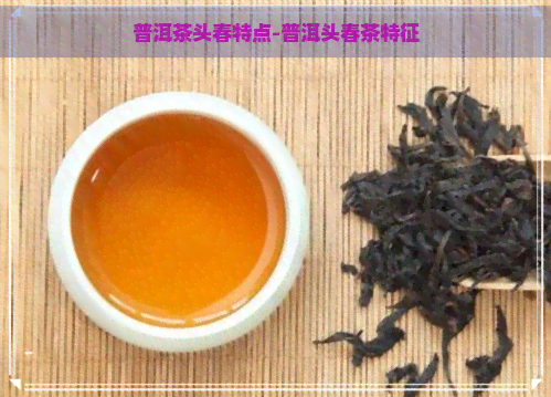 普洱茶头春特点-普洱头春茶特征