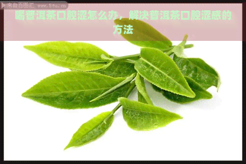 喝普洱茶口腔涩怎么办，解决普洱茶口腔涩感的方法