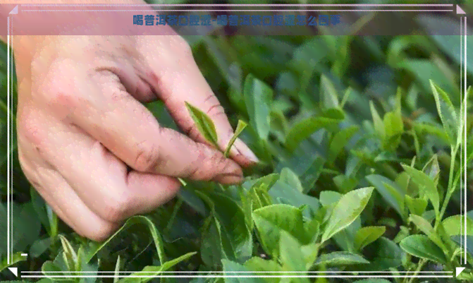 喝普洱茶口腔涩-喝普洱茶口腔涩怎么回事