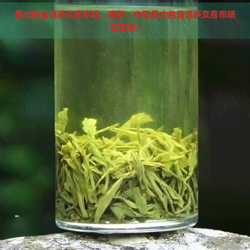 更大的普洱茶交易市场，揭秘：中国更大的普洱茶交易市场在哪里？