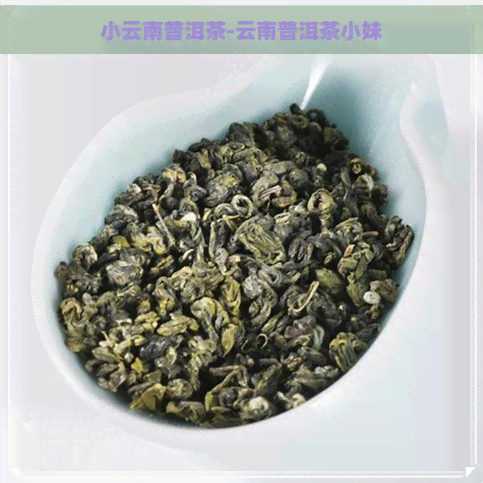 小云南普洱茶-云南普洱茶小妹