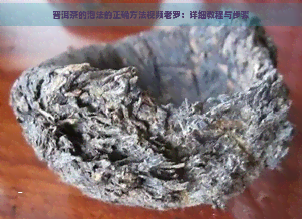 普洱茶的泡法的正确方法视频老罗：详细教程与步骤