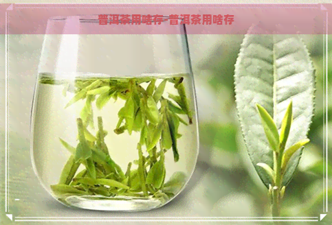 普洱茶用啥存-普洱茶用啥存