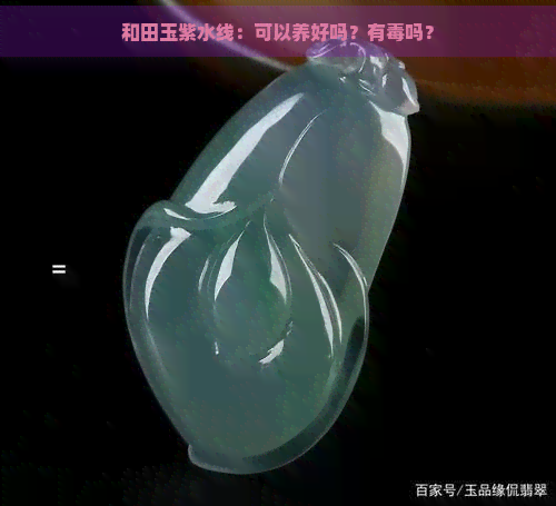 和田玉紫水线：可以养好吗？有吗？