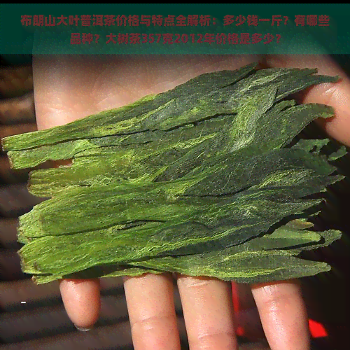 布朗山大叶普洱茶价格与特点全解析：多少钱一斤？有哪些品种？大树茶357克2012年价格是多少？