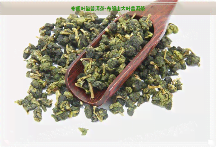 布朗叶玺普洱茶-布朗山大叶普洱茶