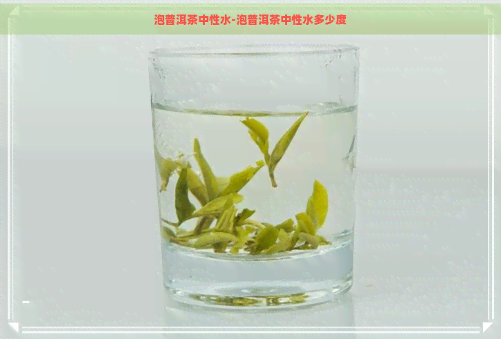 泡普洱茶中性水-泡普洱茶中性水多少度