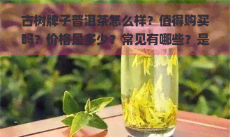 古树牌子普洱茶怎么样？值得购买吗？价格是多少？常见有哪些？是何种茶类？纯料推荐