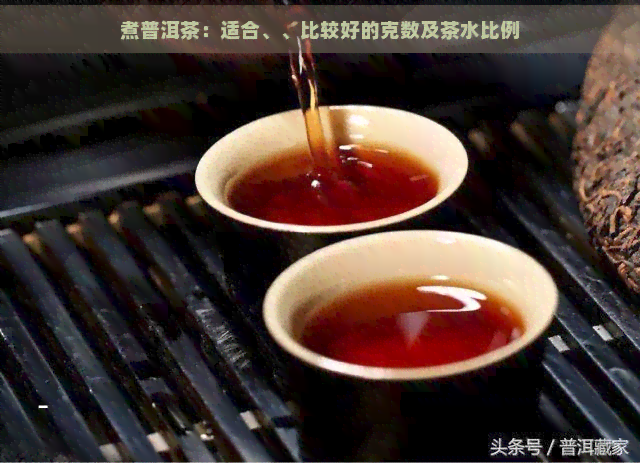 煮普洱茶：适合、、比较好的克数及茶水比例