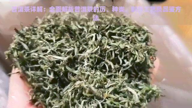 普洱茶详解：全面解析普洱茶的历、种类、制作工艺及品鉴方法