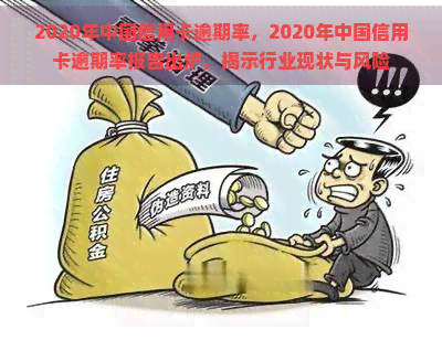 2020年中国信用卡逾期率，2020年中国信用卡逾期率报告出炉，揭示行业现状与风险