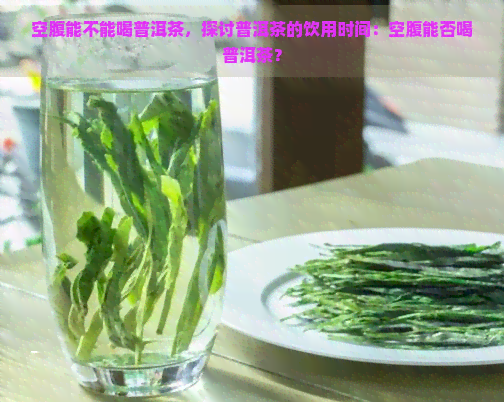 空腹能不能喝普洱茶，探讨普洱茶的饮用时间：空腹能否喝普洱茶？