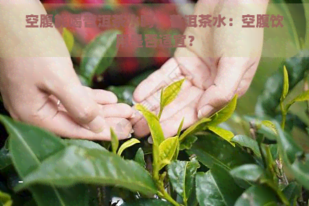 空腹能喝普洱茶水吗，普洱茶水：空腹饮用是否适宜？