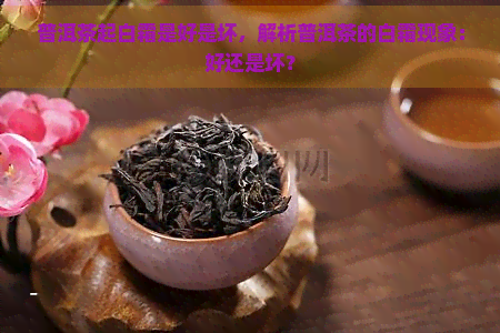 普洱茶起白霜是好是坏，解析普洱茶的白霜现象：好还是坏？