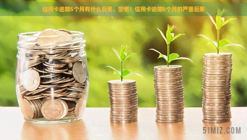 信用卡逾期5个月有什么后果，警惕！信用卡逾期5个月的严重后果