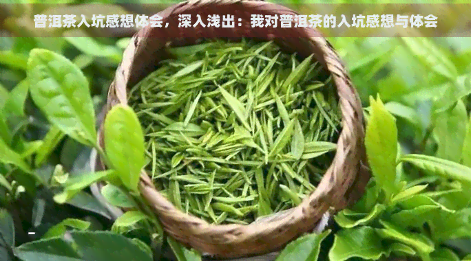 普洱茶入坑感想体会，深入浅出：我对普洱茶的入坑感想与体会