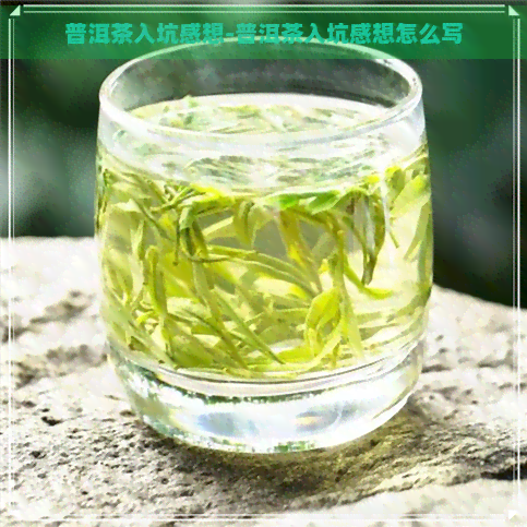 普洱茶入坑感想-普洱茶入坑感想怎么写