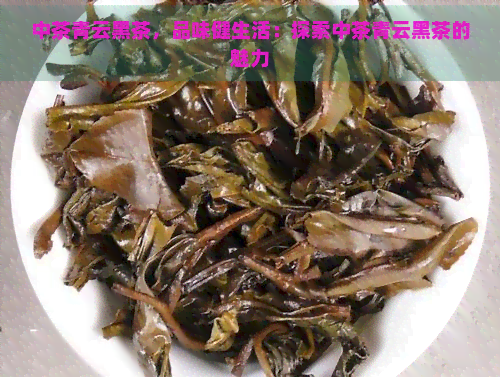 中茶青云黑茶，品味健生活：探索中茶青云黑茶的魅力