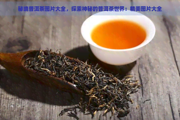 秘境普洱茶图片大全，探索神秘的普洱茶世界：精美图片大全