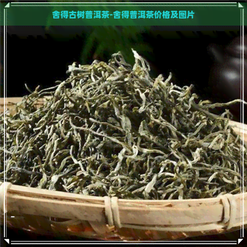 舍得古树普洱茶-舍得普洱茶价格及图片