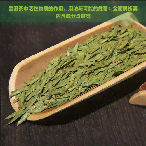 普洱茶中活性物质的作用、用法与可能的危害：全面解析其内含成分与感觉