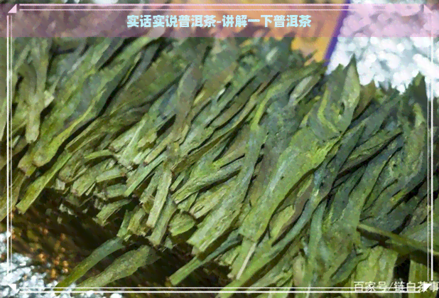 实话实说普洱茶-讲解一下普洱茶