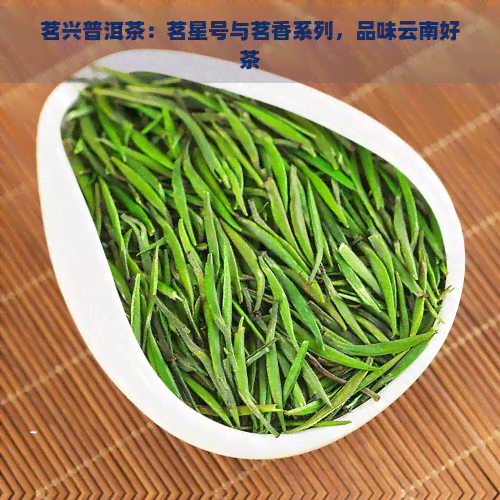 茗兴普洱茶：茗星号与茗香系列，品味云南好茶