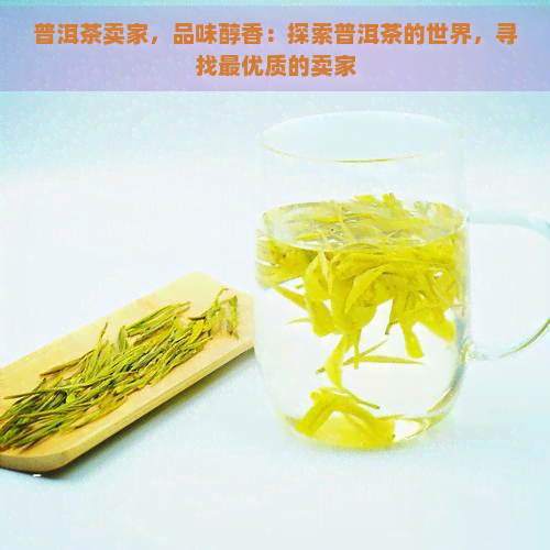 普洱茶卖家，品味醇香：探索普洱茶的世界，寻找更优质的卖家