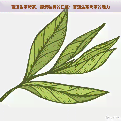 普洱生茶烤茶，探索独特的口感：普洱生茶烤茶的魅力