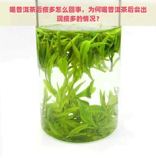 喝普洱茶后痰多怎么回事，为何喝普洱茶后会出现痰多的情况？