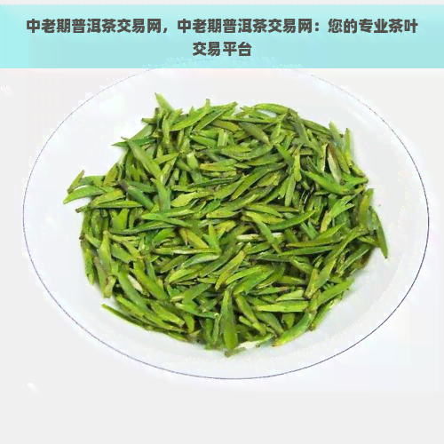 中老期普洱茶交易网，中老期普洱茶交易网：您的专业茶叶交易平台