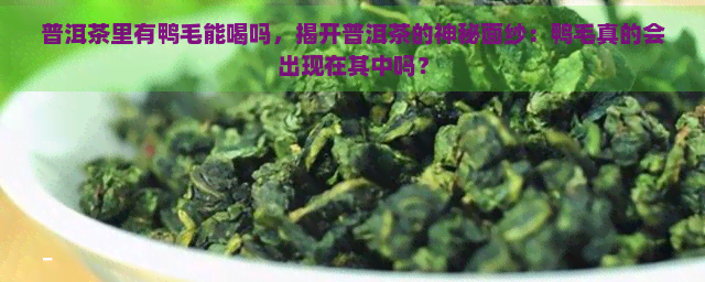 普洱茶里有鸭毛能喝吗，揭开普洱茶的神秘面纱：鸭毛真的会出现在其中吗？